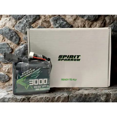 靈雀Spirit Sparrow 6S電池/4S電池/高性能鋰電/FPV穿越機/穿越機電池/外場電包/格式（細節圖 7）
